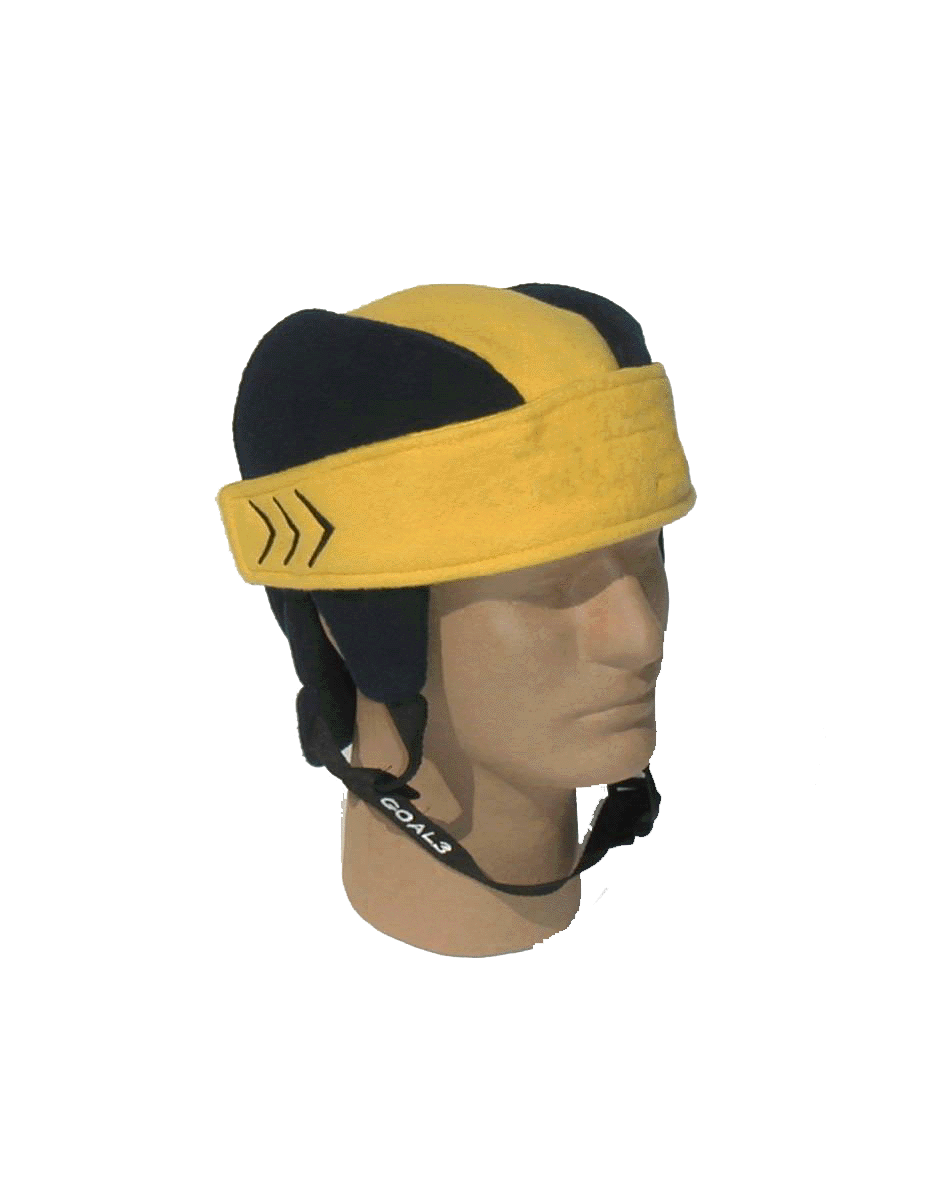 BlueandGoldFront.gif